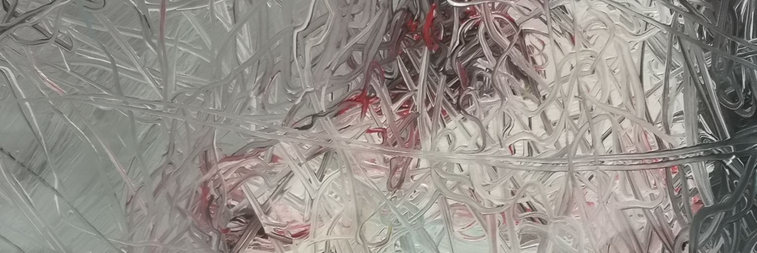 米斯先生 | Bird🕊️| Gate13周年 banner