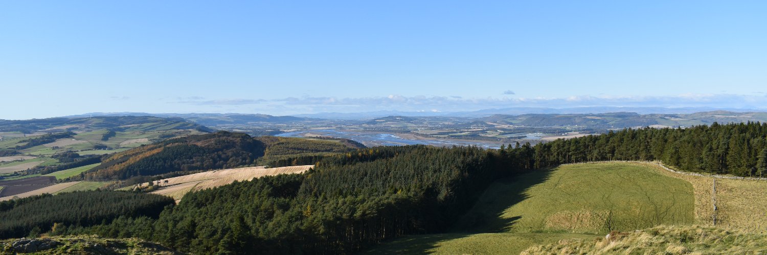Niki_Strachan's profile banner image