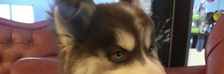 andrewromadhon's profile banner image
