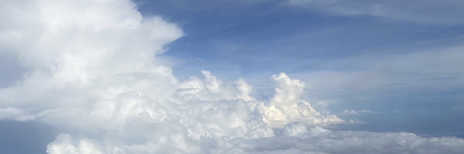 mncnnat's profile banner image