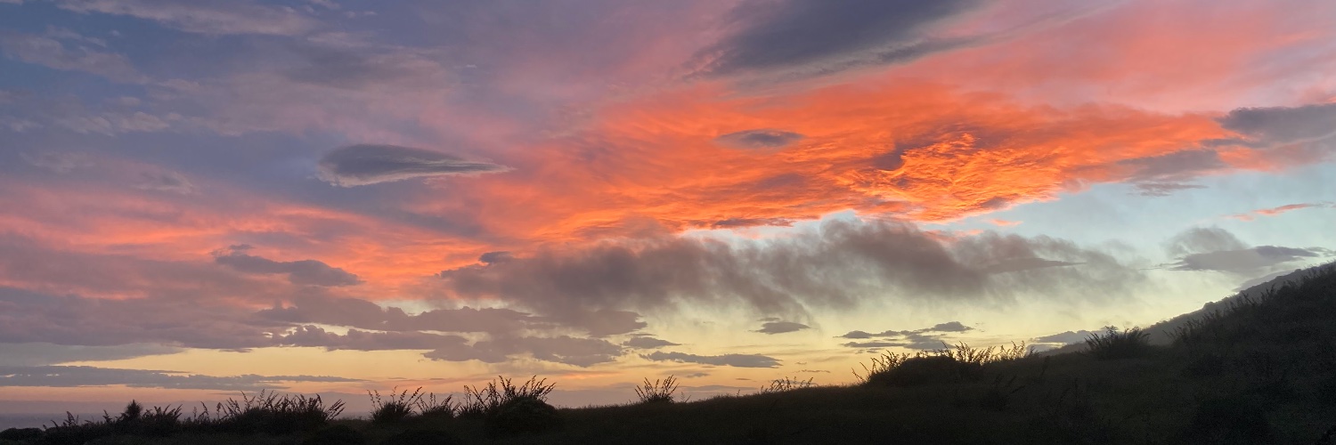 Caroline Orchiston banner