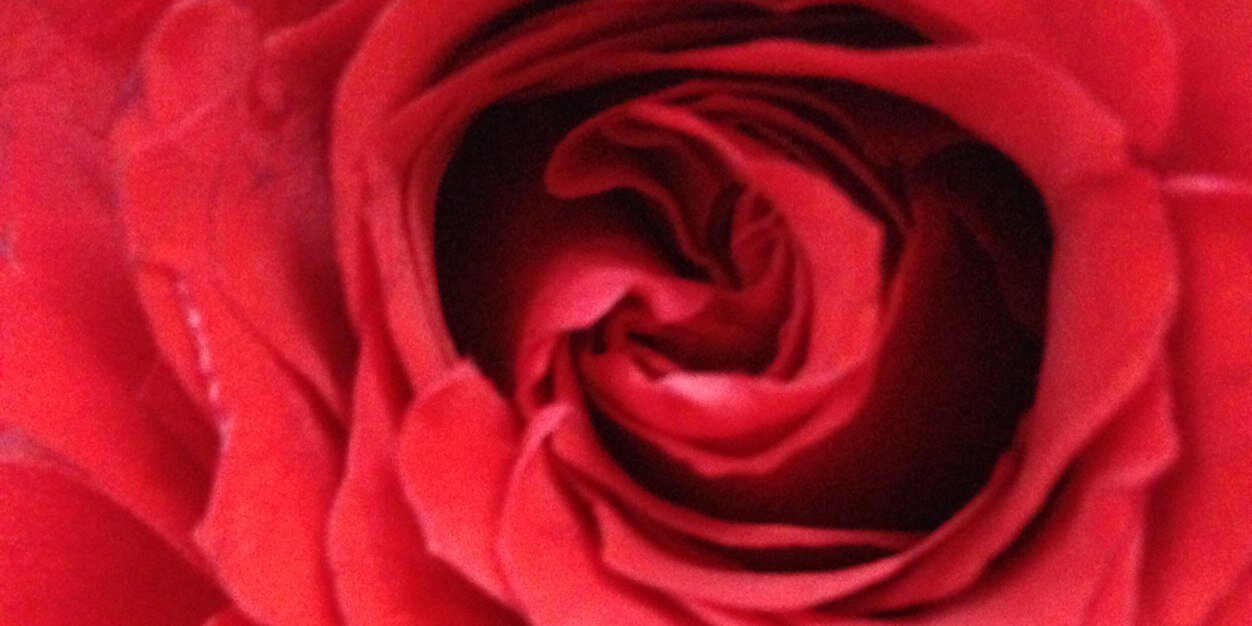 t2utuu's profile banner image