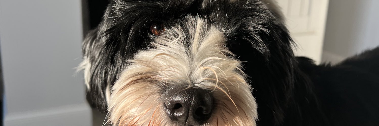 Jordan Hiscock banner