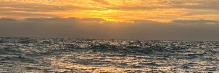 Maяía banner