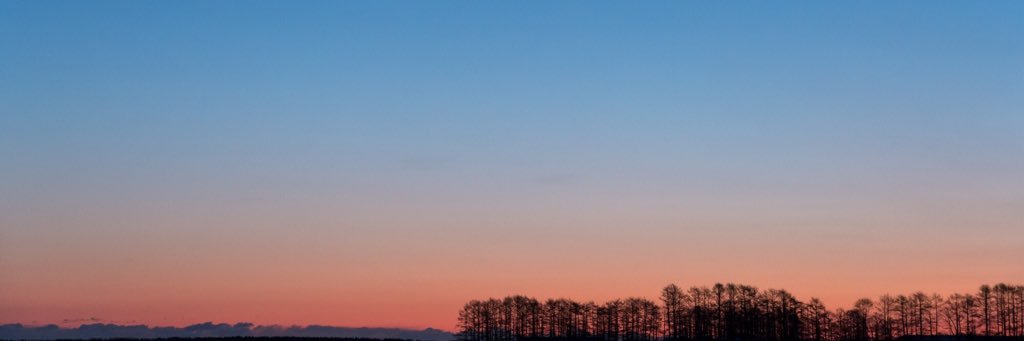 O416Jun's profile banner image