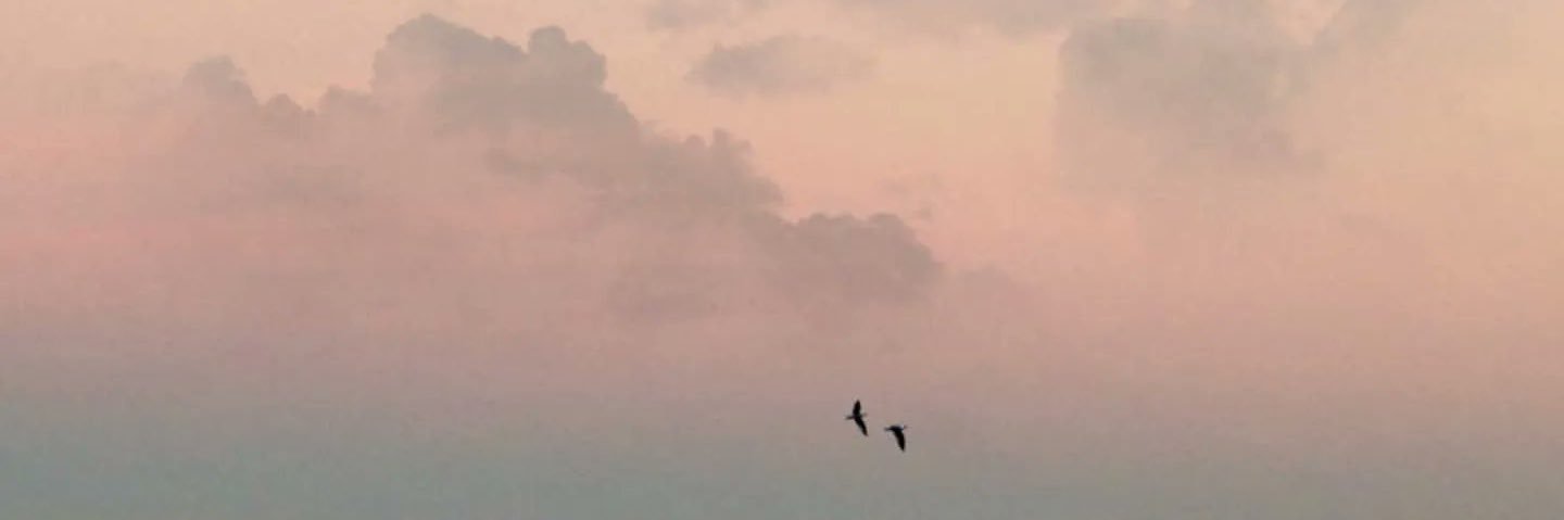 Llistentem's profile banner image
