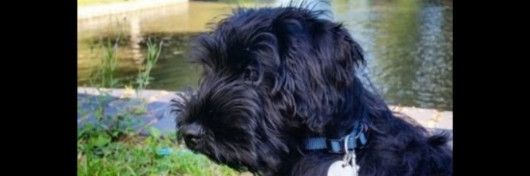 JoanneGreathead's profile banner image