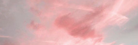 livchap_'s profile banner image