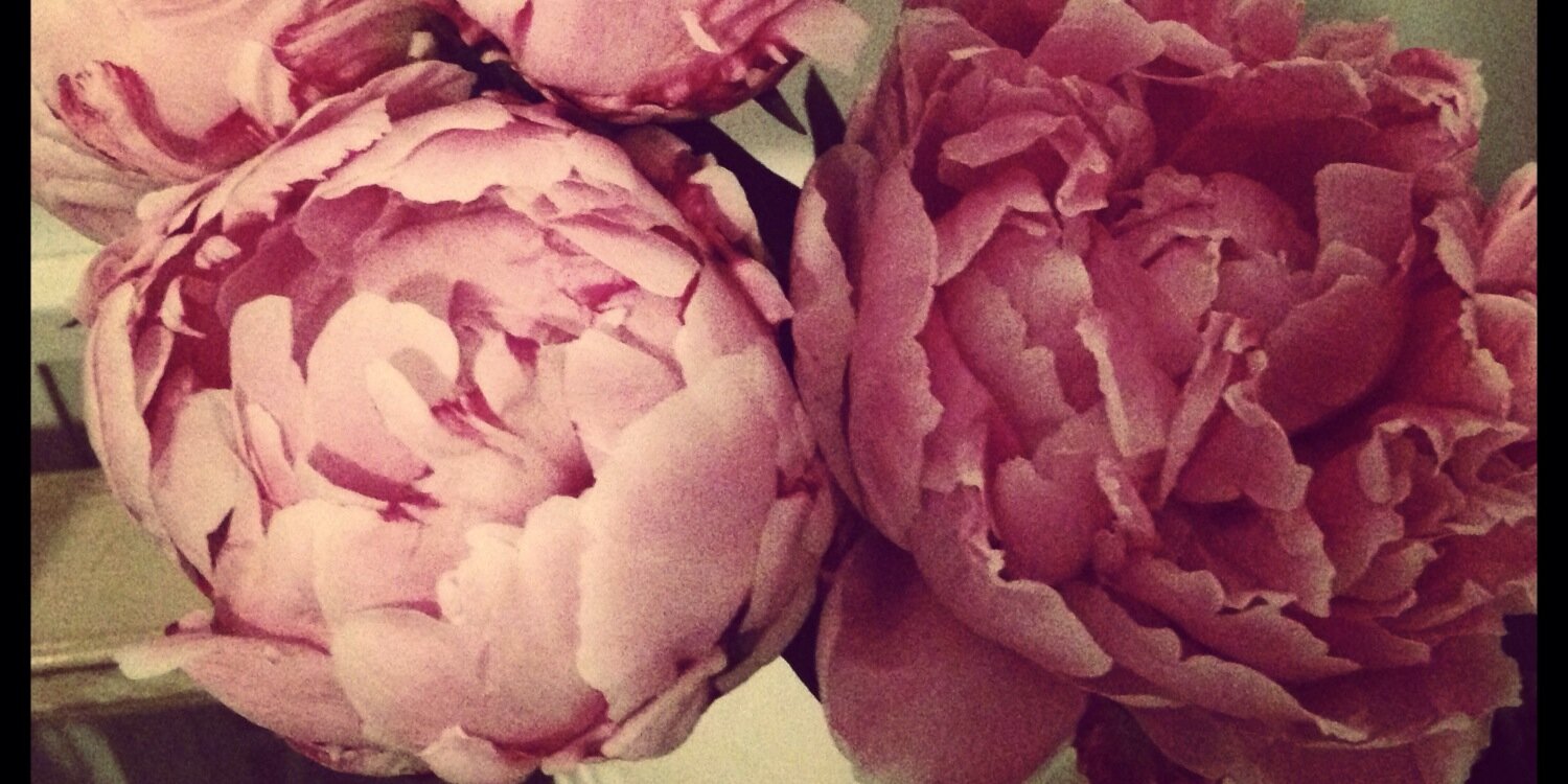 _brookehavens's profile banner image