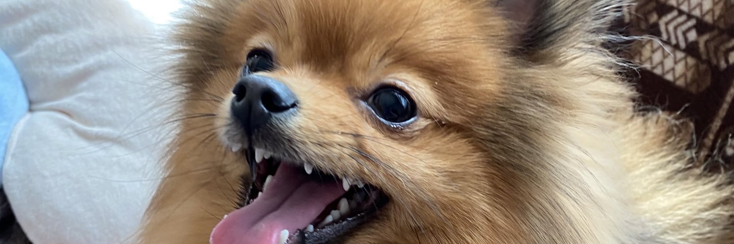 pon___28's profile banner image
