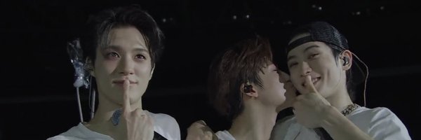 poppicchi Profile Banner