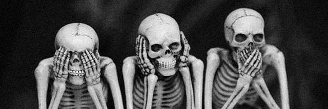 Plumo Paranto banner