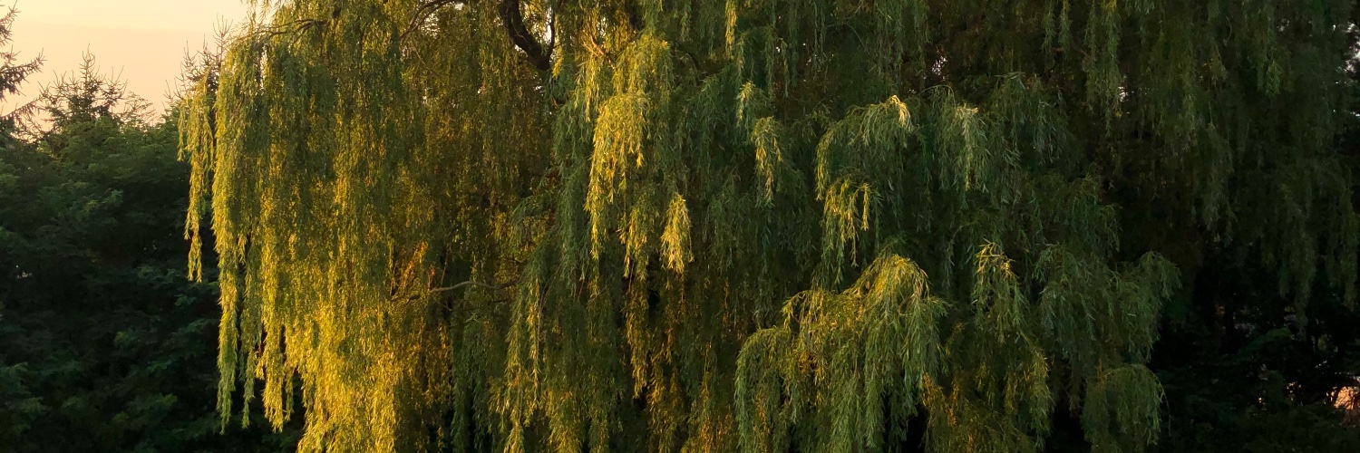 eclecticfeel's profile banner image