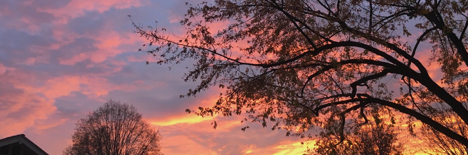 jerrwolfe's profile banner image