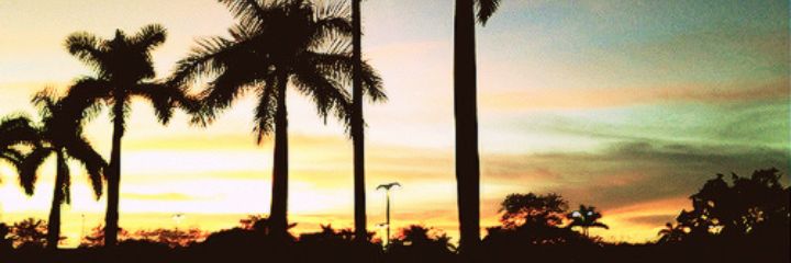 Nataliia1997's profile banner image