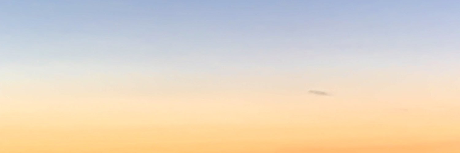 Patrick Orlando banner