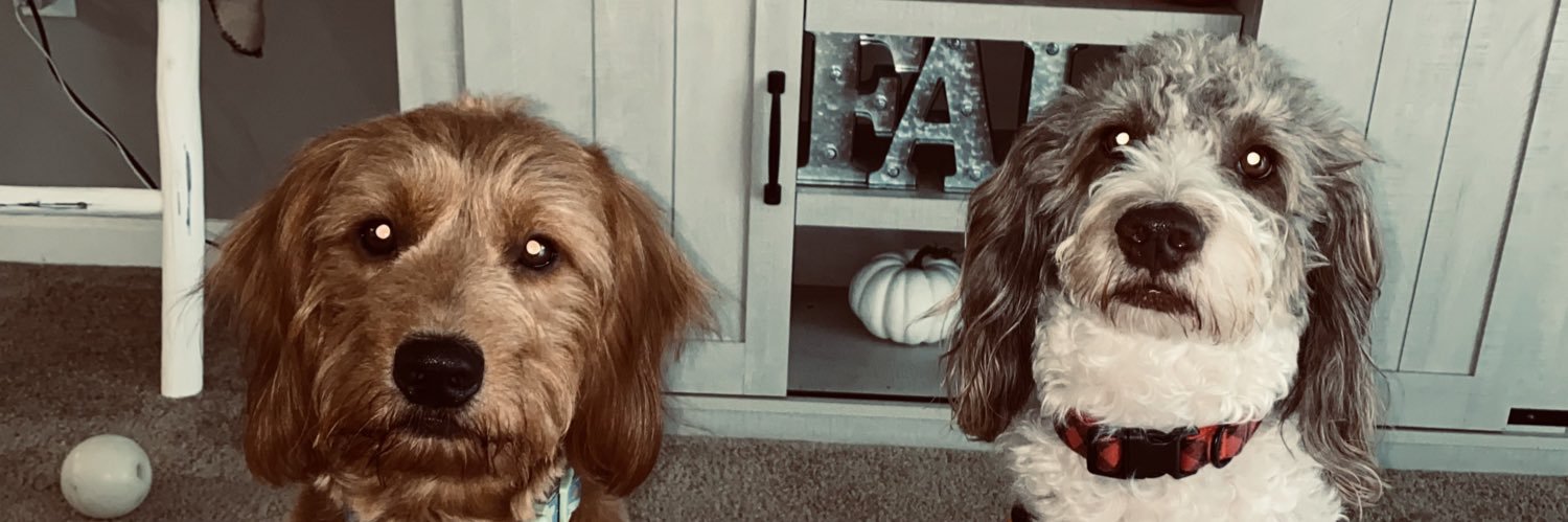 daniellemancy's profile banner image