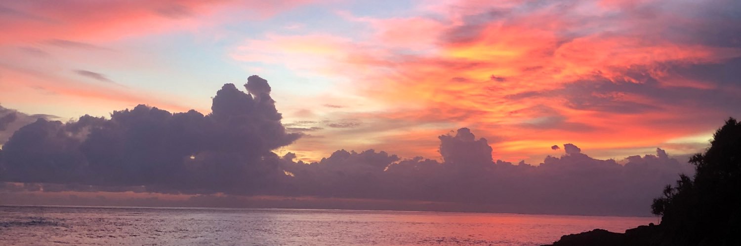 DaisyBeasley1's profile banner image
