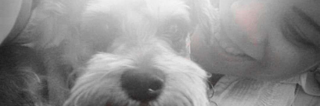wenditta_s's profile banner image