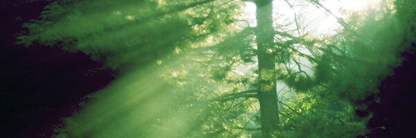 jvin248 Profile Banner