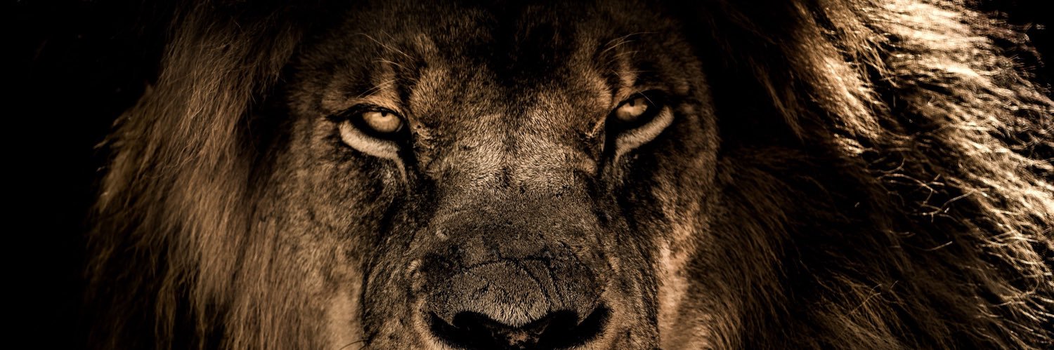 Brandon Johnson banner