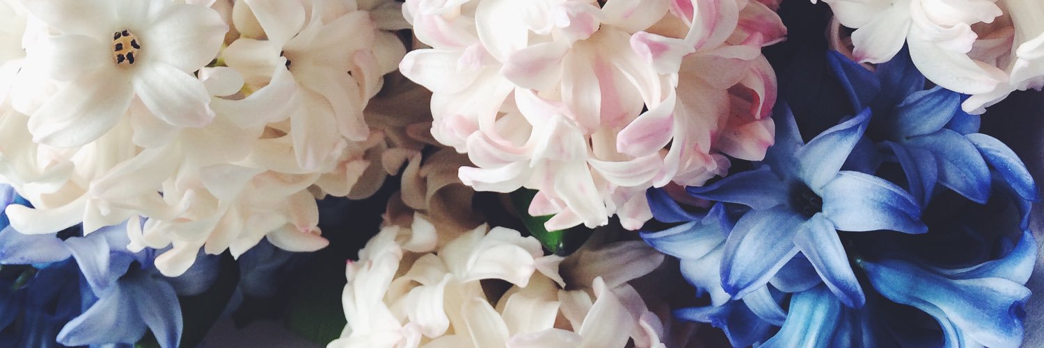 IrishaMayorova's profile banner image