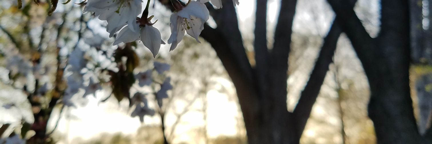 KaylaOrta1's profile banner image