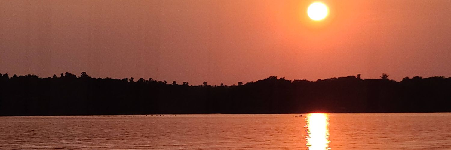 suemangroo's profile banner image
