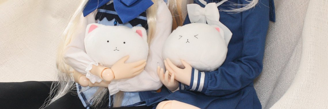 snd_doll's profile banner image