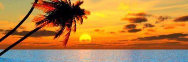 EvanDohler's profile banner image