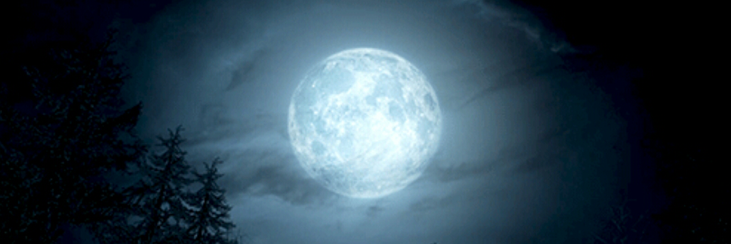 butterdarlin's profile banner image