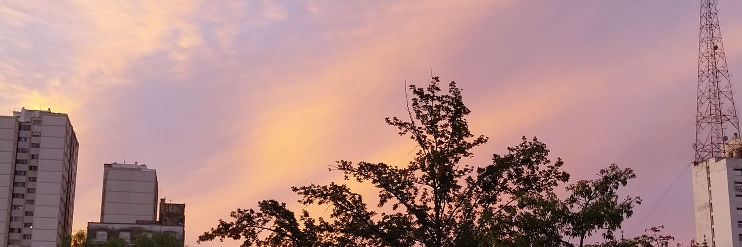 Flormedinaaaa's profile banner image
