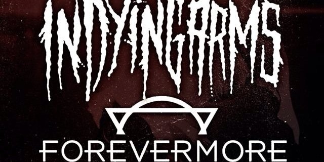 sdsdfsdfsdfsdfd's profile banner image