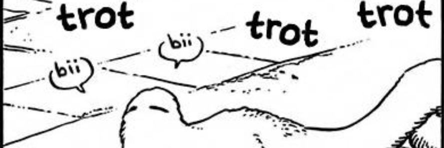 noicemaster's profile banner image