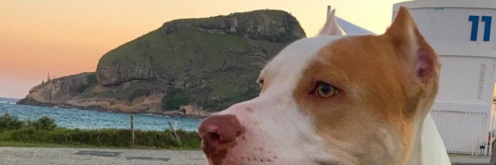 ClaudiaRVMV's profile banner image