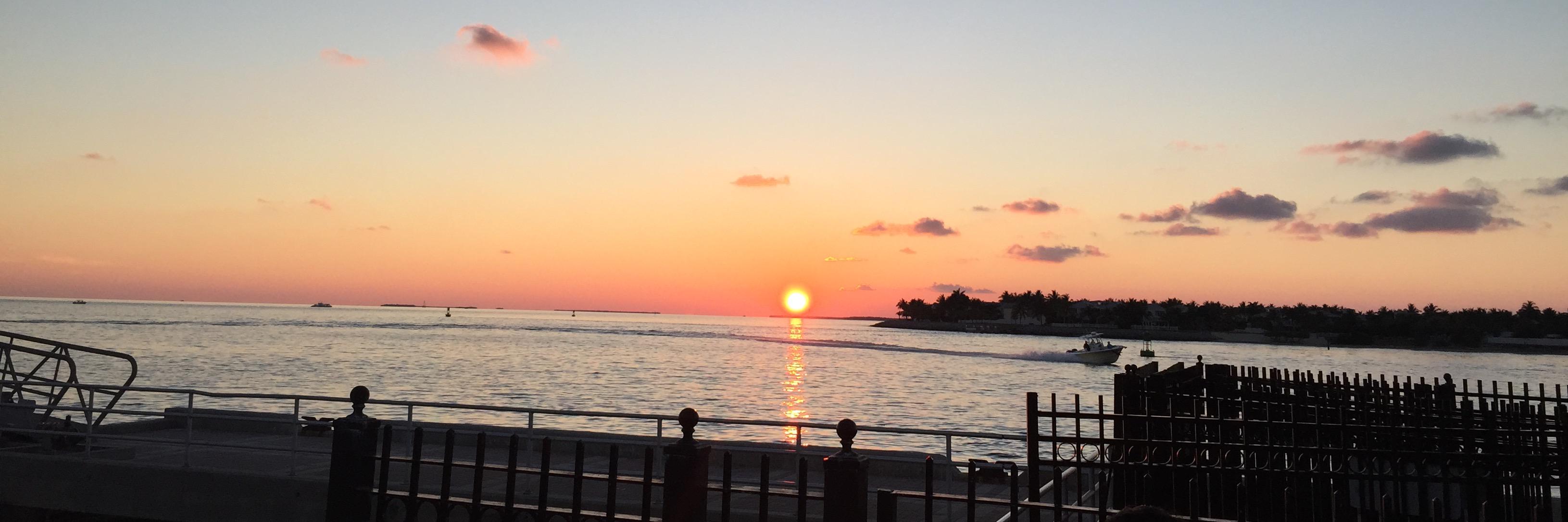 JaneRae12's profile banner image