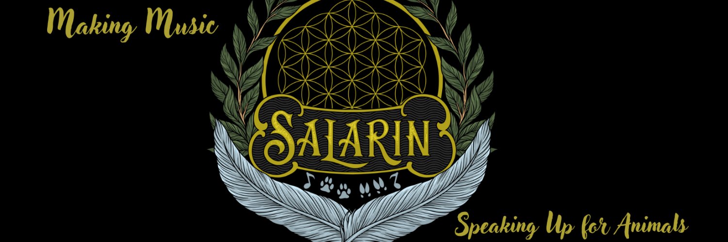 salarin_music's profile banner image