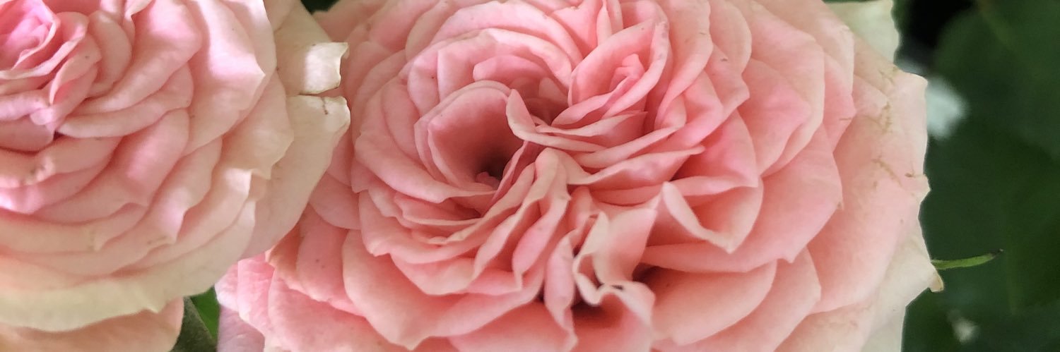 scarbhill's profile banner image