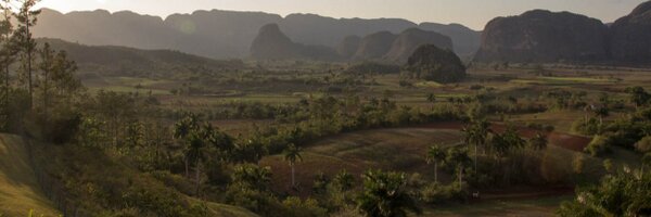 DerekL Profile Banner