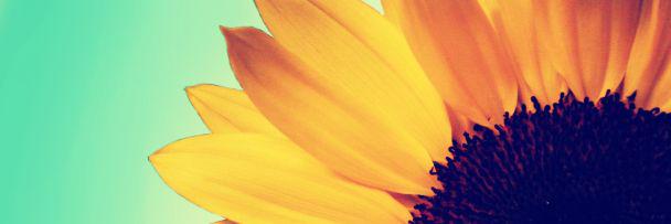 raerae_z's profile banner image