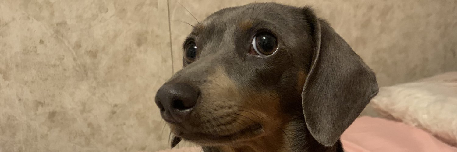 CaliWest2's profile banner image