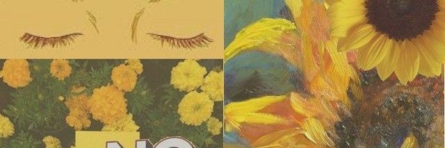 SchmidtValeria's profile banner image