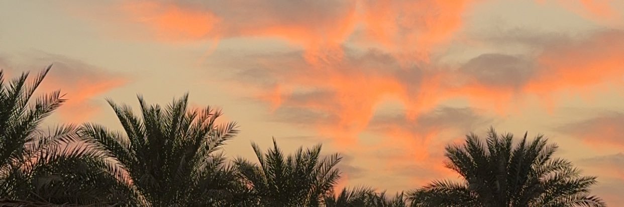 ليلى 🕊♥️ banner