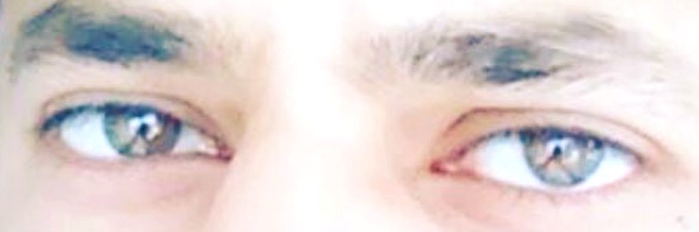 𝕳 𝕾 - 𝕳𝖚𝖒𝖆𝖓𝖎𝖙𝖆𝖗𝖎𝖆𝖓 & 𝖂𝖗𝖎𝖙𝖊𝖗 ✍ banner