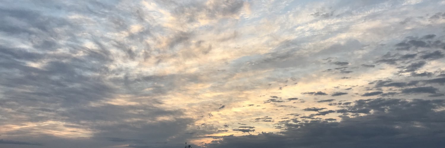 LilMami_'s profile banner image
