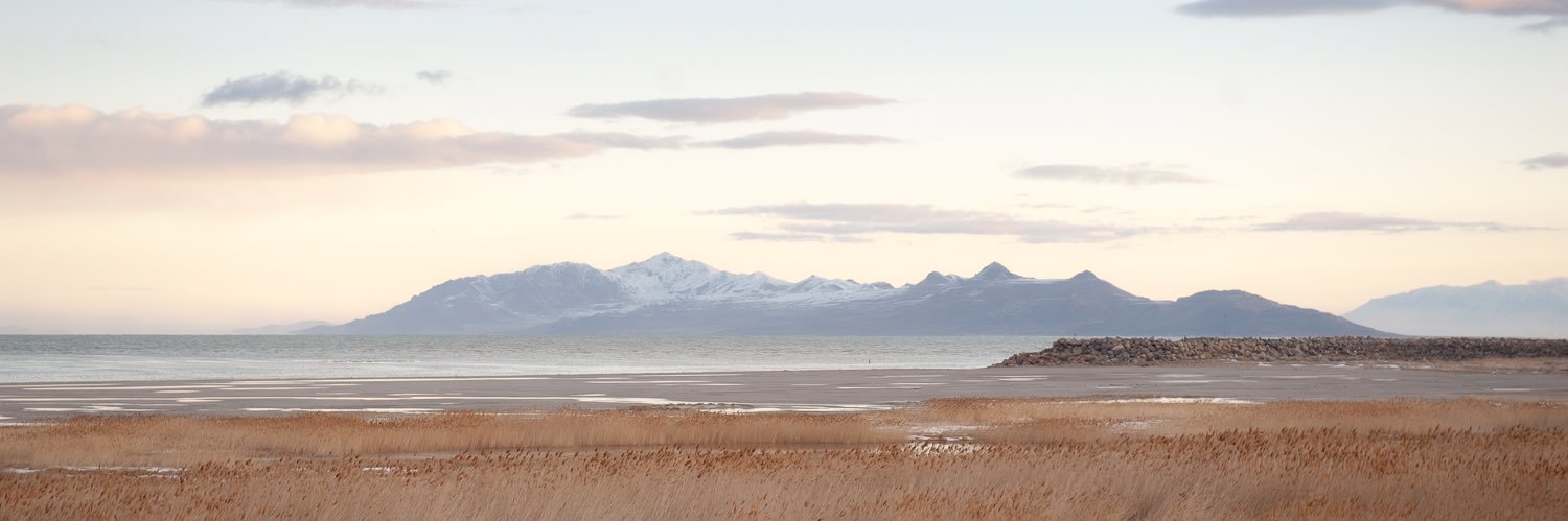 Tom Liu 👨🏻‍⚕️🐝 banner