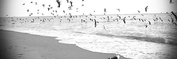 BellaCortes5's profile banner image
