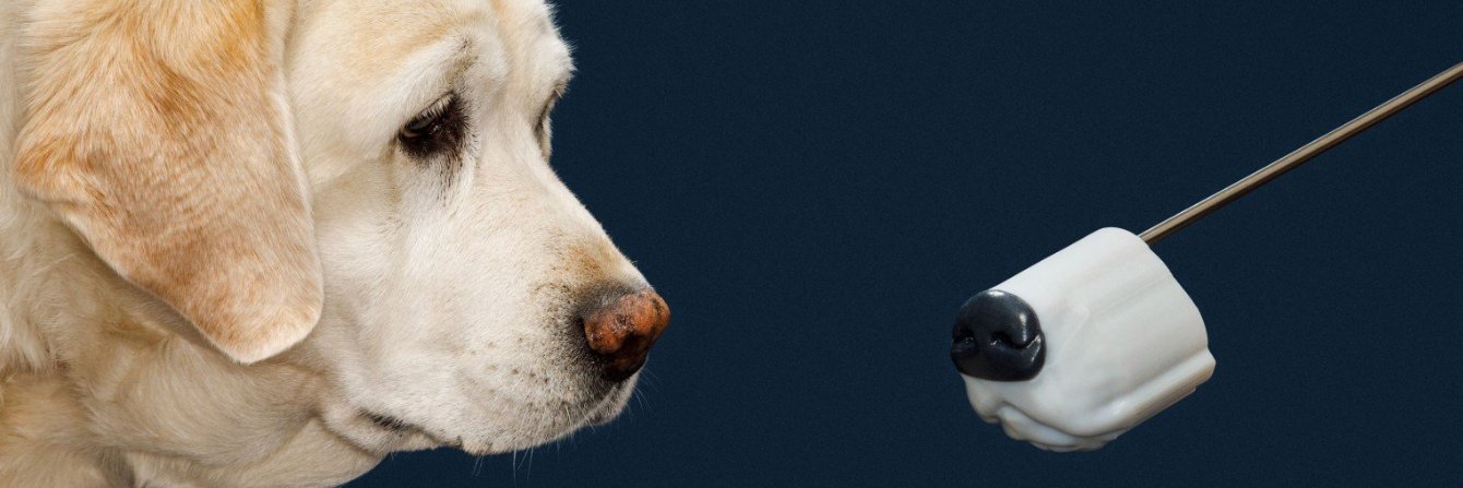 gronbus's profile banner image