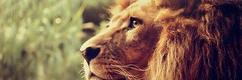 VegaManuu's profile banner image