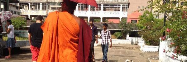 bluebaliberry Profile Banner